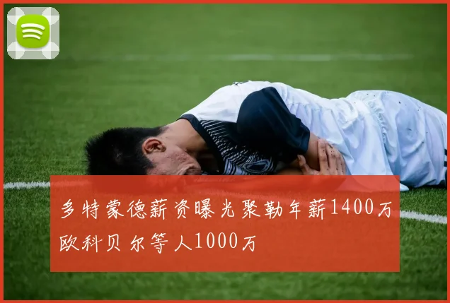 多特蒙德薪资曝光聚勒年薪1400万欧科贝尔等人1000万