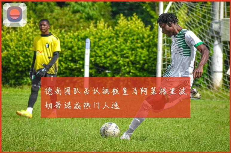 德尚团队否认执教皇马阿莱格里波切蒂诺成热门人选
